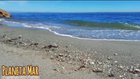 Agua de mar, tratamiento para cataratas. Dra. Lobo