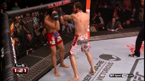 Erick Silva vs Matt "The Immortal" Brown - highlights