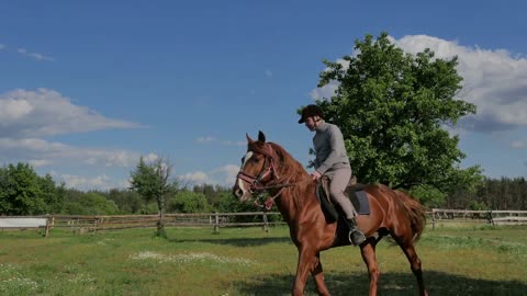 The rider in helmet riding on the horse on meadow