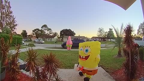 Spongebob Costume Makes Ringing Doorbell Difficult