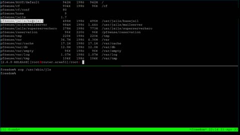 pfSense: Using Jails