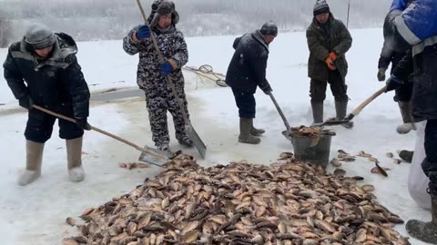 Yakut traditional fishing "Munkha" Republic of Sakha Yakutia / Yakut traditional fishing "Munkha"