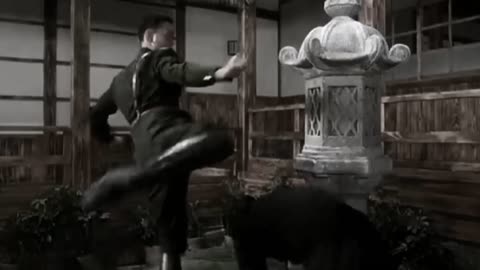 Best fight jetli film the best