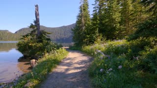 Mount Rainier National Park