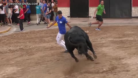 GRANDES MOMENTOS de 2019 · Tercera parte - Raging Bull Headbutts truck full of people