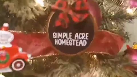 CHRISTmas @ simpleacrehomestead