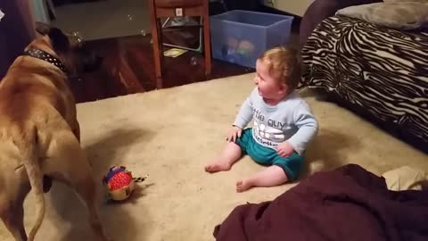 Baby laughing at dog & bubbles