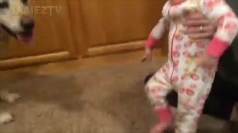 The most beautiful funny clips for babies with dogs.part 3