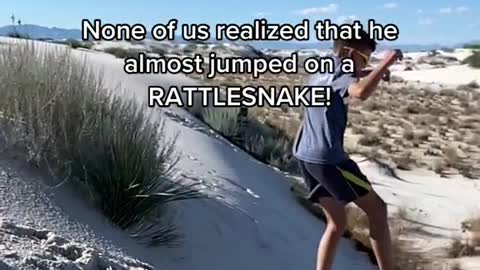 None of us realized that he almost jumped on a RATTLESNAKE!