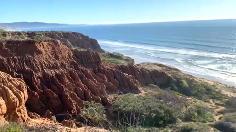 Torrey Pines in San Diego, California