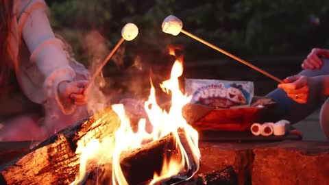 How It's Made: Marshmallow Peeps