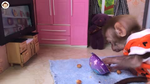 BiBi helps dad take care of baby monkey OBi