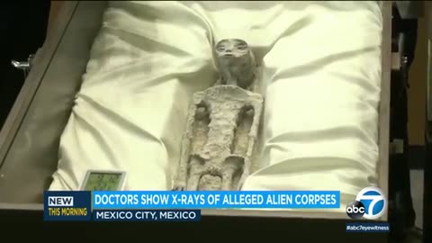 UFO remains: Mexico scientists release new video of 'mummified alien' corpse x-rays