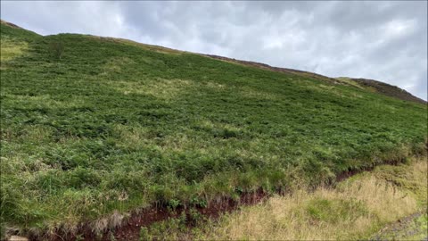 Bonaly - Capelaw loop