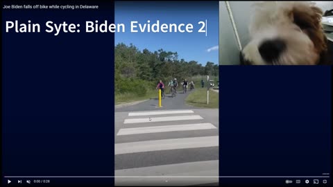 BidenEvidence2