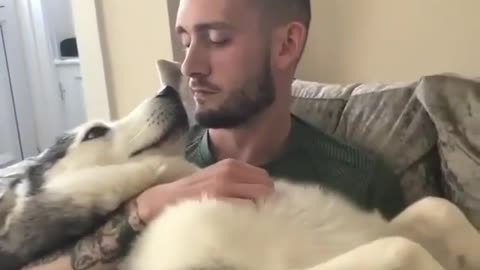 Owner loving and kissing his pet dog