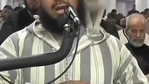 Cat Playing With the Imam Of The Masjid During Prayer