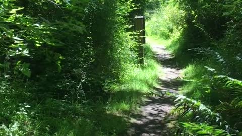 Admiralty Inlet Natural Perserve walk today - whidbey Island #discover