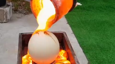 Lava vs Egg