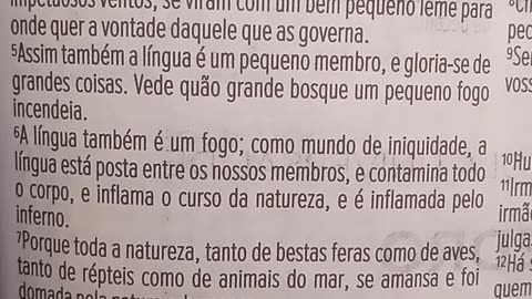 O alerta de São Tiago sobre a cultura do pecado pagão