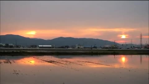 Nibiru And China Rice fields