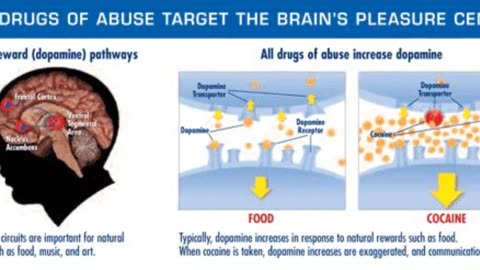 Midwest Institute for Addiction | Drug Detox in Kansas City, MO