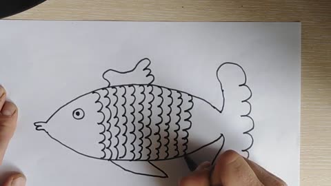 How to Draw a Fish Step by Step