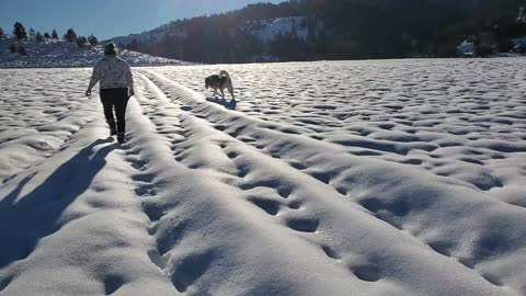 Sound of snow