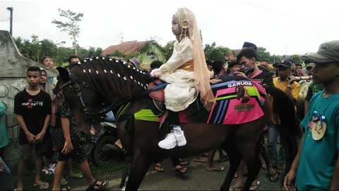 The parade of dancing horses