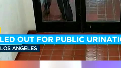 LA Official Pisses On A Business's Doors