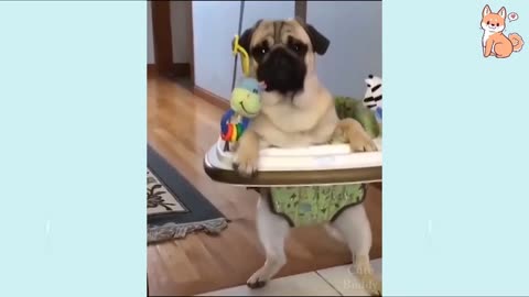 Funny Dog Videos 😂🤣😂🤣😂🤣 Adorable Pups | must watch 🤣🤣🤣😂