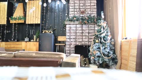 photo studio new year decorations christmas tree and lights interior 5