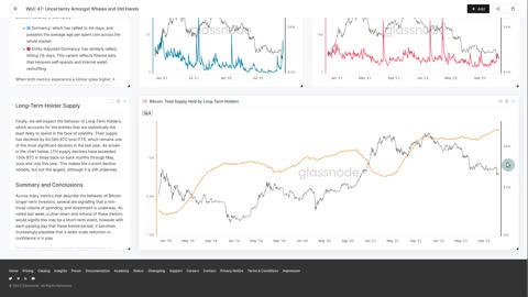 The Week On-chain: Fear Amongst Whales and HODLers - Week 47, 2022 (Bitcoin Onchain Analysis)