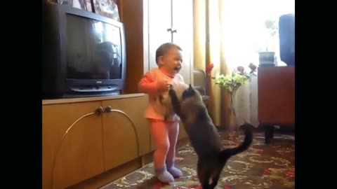 Mother cat takes the toddler's sobbing kitten.