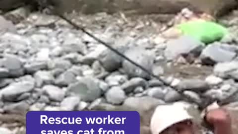 Rescue worker saves cat from floods in Pakistan