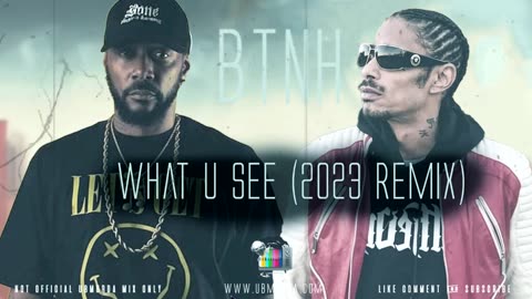 BTNH - What U See (2023 Remix)