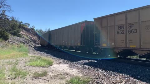 Solid EMD SD70ACe lineup up Mullan Pass. 3 BNSF, 4 MRL, then 1 BNSF on the rear.