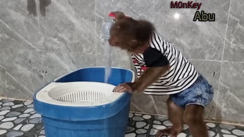 Funny monkey cleaner