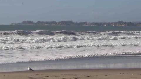 Aptos, CA — Rio Del Mar Beach