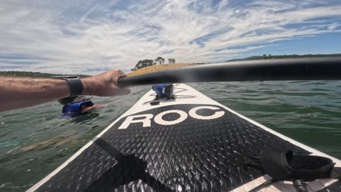 Charlie Doggo and Kate with me swimming and paddle boarding and stuff