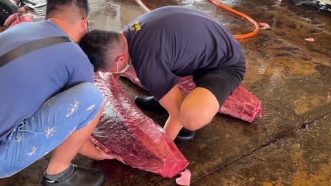 Amazing huge bluefin cutting skills 8of8