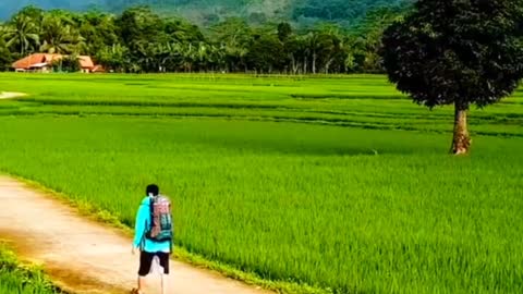 Liburan menikmati alam Curug Citambur