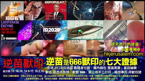 拒絕666獸印(逆喵)不惜代價甚至被視為「非法」？REJECT Mark of the BEAST and willing to be !llegal for Christ