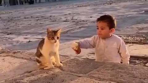 🇵🇸 A Palestinian boy shares his bread with a cat.