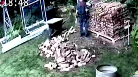 Old Man Stacking Firewood