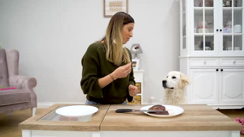 Leaving My Dog Alone with a Juicy Steak