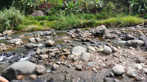 KOPI TEPIAN _ NGOPI SANTUY DI ANTARA SAWAH & SUNGAI