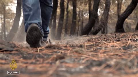 Spain heatwave: Local communities adapt to weather conditions