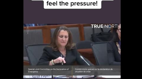 Just like her idiot boss. Freeland can't answer a question....