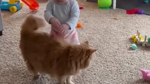 Adorable Fluffy Cat Helps Baby Take First Steps!!